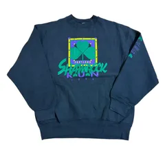 90's USA製 アメリカ製 フルーツオブザルーム Fruit of the Loom スウェット トレーナー