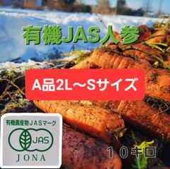 【送料、クール料金込み】県内市場規格で選別❗有機JAS認証人参：A品　２L～ＳＳサイズ　10キロ