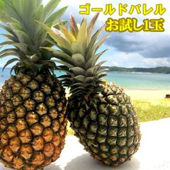 石垣島産サンドルチェ5.5kg - メルカリ