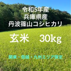新米【丹波篠山コシヒカリ】玄米/30㎏ 令和5年産〈単一原料米〉食味値
