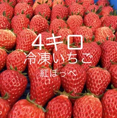 2024年産　冷凍イチゴ　4Kg（山梨県産）④