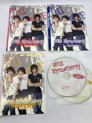 Wild Strawberry ワイルドストロベリー　全3巻　DVD　レンタル落ち　関智一/相場弘樹/中河内雅貴