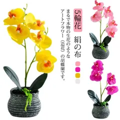 2025年最新】輪花盆の人気アイテム - メルカリ