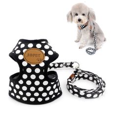 Item thumbnail for item 0bb2e900-ab97-438b-8f23-aa146a430a38