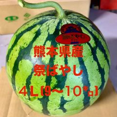 【産地直送・大玉すいか赤果肉・６／１５発送可・週末大特価】熊本県産　大玉スイカ　祭ばやし（4L:9～10㎏）１玉　正規品