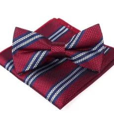 蝶ネクタイ ポケットチーフ 2点セット 結婚式　発表会 パーティー イベント ダンスパーティー バーテンダー 卒業式 入学式 入社式　レッド色　ネイビー色　シルバー色　ストライプ柄　格子柄 スーツ ワイシャツ 格安 小物 ワンタッチ ネクタイ　2点 セット