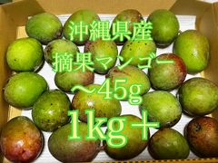 沖縄県産　摘果マンゴー　1キロ➕