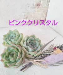 No.15　ピンククリスタル