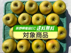 【送料無料】シナノゴールド 約5kg 信州りんご