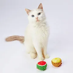 ❤オーダー受付❤スイカ大好き猫ちゃん❤