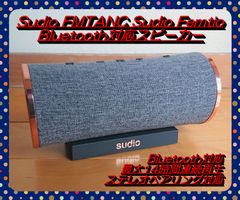 【特別セール中!!】Sudio FMTANC Femtio Bluetooth スピーカー