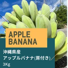 アップルバナナ苗　120cm程度　３本 banana08_01-logo.jpg