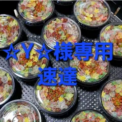 ☆Y☆様専用