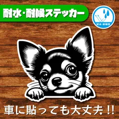2025年最新】チワワの人気アイテム - メルカリ