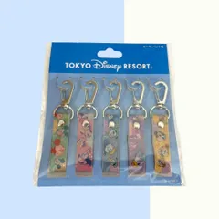 ディズニー キーチェーン 5個入り【ミッキー＆フレンズ】東京ディズニーリゾート TDR