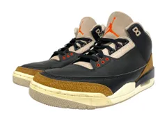 NIKE (ナイキ) AIR JORDAN 3 RETRO エアージョーダン 3 レトロ ハイカットスニーカー CT8532-008 28.5cm US10.5 ブラウン×ブラック メンズ/009