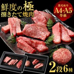 和牛 ギフト お歳暮 クリスマス 6種2段 焼肉 ギフト 特選 黒毛和牛 牛肉 A4 A5 肉 ハンバーグ 霜降り 牛肉 国産 黒毛 和牛 焼肉 セット 真空密封包装