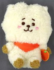 [중고] 봉제인형 RJ(진) 콩 인형(봉제인형) [BT21] 과일 시리즈