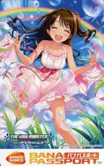 希少品！ バナパスポートカード 海外版 ICタグ グレー 日本でも使用可能！ 希少品！ バナパスポートカード 海外版 ICタグ グレー 日本でも