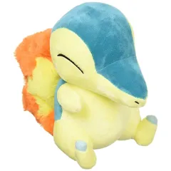 【在庫セール】ポケモンセンターオリジナル ぬいぐるみ ヒノアラシ 20.5×12×18(H×W×D:㎝)