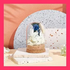 【スタッフおすすめ！】PH PandaHall ガラスドーム ガラス瓶 容器 花瓶 ガラスカバー ディスプレイケース ドライフラワー ディスプレイ デコレーション 手芸 母の日 プリザーブドフラワー ギフト用 装飾品 5.8x8.9cm 1