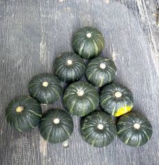 北海道★化学農薬不使用カボチャ：栗かぼちゃ1個と坊ちゃん5個セットホクホク甘い