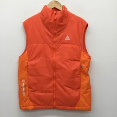 NIKE ACG ナイキ エィシージー ジャケット、上着 ダウンベスト DQ5778-891　ナイロンベストのサムネイル
