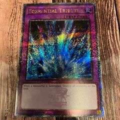 遊戯王　 英語版 北米版　激流葬 25thシークレットレア