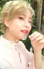 【中古】コレクションカード(男性) ASTRO/MJ/バストアップ・衣装ピンク・体左向き/CD「ALL LIGHT」(White ver.)特典フォトカード