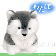 犬 ぬいぐるみ ハスキー 子犬 内藤デザイン研究所 わたぽ