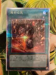 原始生命態ニビル クオシク - メルカリ