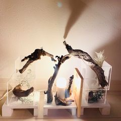 ゲーテ詩集　 LED照明　流木アート　インテリア　三つ組み合わせ　レイアウト自由