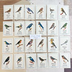 483・【一点限り】マッチラベル　鳥　２４柄　1969年頃　レア　アンティーク　ラベルシート 切手趣味週間　チェコ　コレクション　海外ヴィンテージ　蚤の市　海外アンティーク　図鑑　ラベル　海外紙物　チェコ　海外紙もの　雑記帳