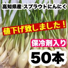 50本 にんにくスプラウト 即購入OK nk