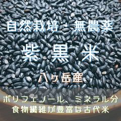 自然栽培「紫黒米」もち米（無農薬・無化学肥料）300g×3袋