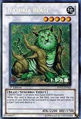 遊戯王　ナチュルビースト　DTCシークレット　psa10 遊戯王 ナチュルビースト DTCシークレット psa10 - メルカリ