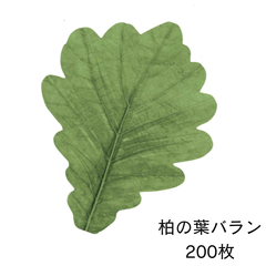 【紙柏】柏の葉　柏餅　バラン 200枚セット　熊木産業　かしわ　かしわもち　柏餅の葉っぱ　葉っぱ　かしわもちの葉っぱ　かしわもちのはっぱ
