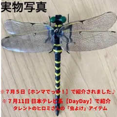 2025年最新】ヤンマ標本の人気アイテム - メルカリ