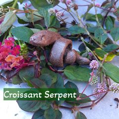 Croissant Serpent（クロワッサンみたいなへび）～2025年干支・縁起物・小物・置物