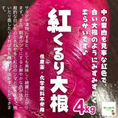 紅くるり大根　低農薬・化学肥料不使用　埼玉県産　４kg