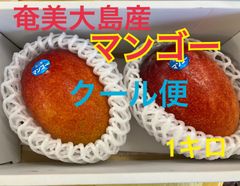 奄美大島産　完熟マンゴー