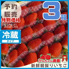 2025年最新】かんちゃん農園の人気アイテム - メルカリ