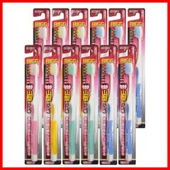 【特価セール】ふつう 12本パック リグ山型ハブラシ セット エビス