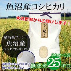 魚沼産 コシヒカリ 無洗米 25kg（5kg×5袋）雲龍和紙 新潟 魚沼産こしひかり 産地直送 お祝い、ギフト、贈答に ご自宅、ご家庭、お弁当にも 新米