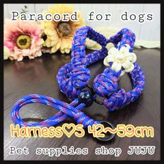 Item thumbnail for item b44f2b5a-d2ca-40d8-962b-99ff7e74d9bd