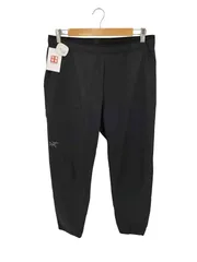 アークテリクス ARCTERYX GAMMA JOGGER ガンマ ジョガーパンツ メンズ  34のサムネイル