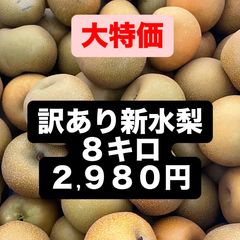 大特価　新水梨　8kgのサムネイル