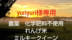 2024年最新】yuriyuriの人気アイテム - メルカリ