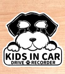 キッズインカー.ベビーインカー.チャイルドインカー(ドライブレコーダー有り)【シュナウザー.ボード】マグネットタイプ/シールタイプ/吸盤タイプ