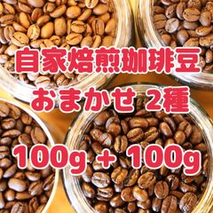 自家焙煎珈琲豆！種類おまかせ2種！100g×2袋です！必ず1種類はスペシャルティコーヒーをセレクトします！おたのしみに！